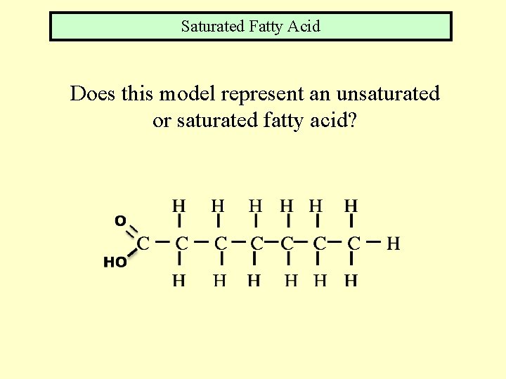 Saturated Fatty Acid Does this model represent an unsaturated or saturated fatty acid? 