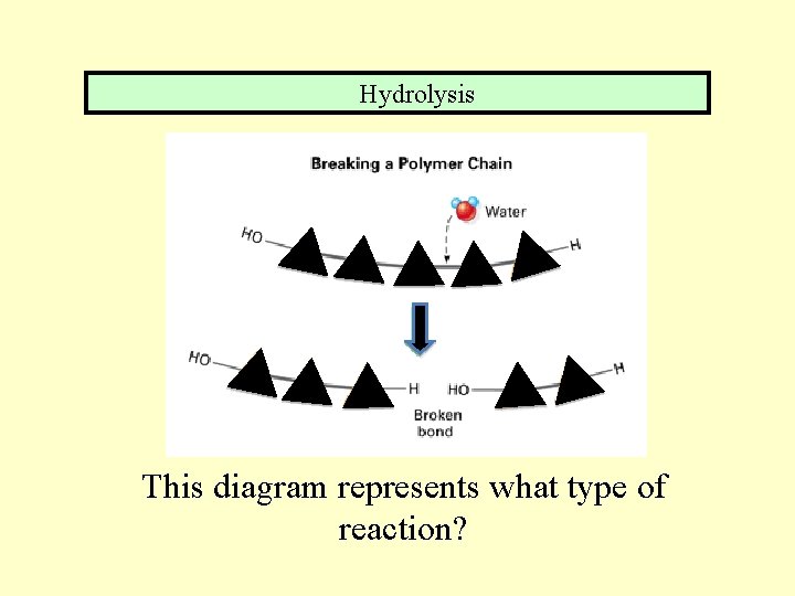 Hydrolysis This diagram represents what type of reaction? 