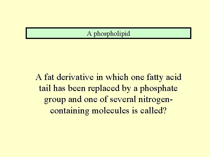 A phospholipid A fat derivative in which one fatty acid tail has been replaced