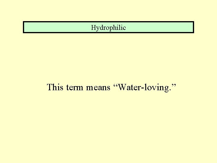 Hydrophilic This term means “Water-loving. ” 