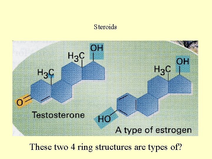 Steroids These two 4 ring structures are types of? 