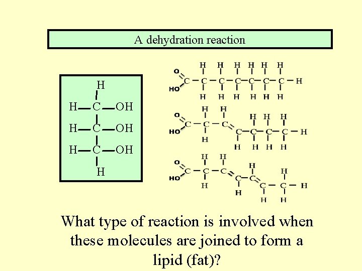 A dehydration reaction H H C OH H What type of reaction is involved