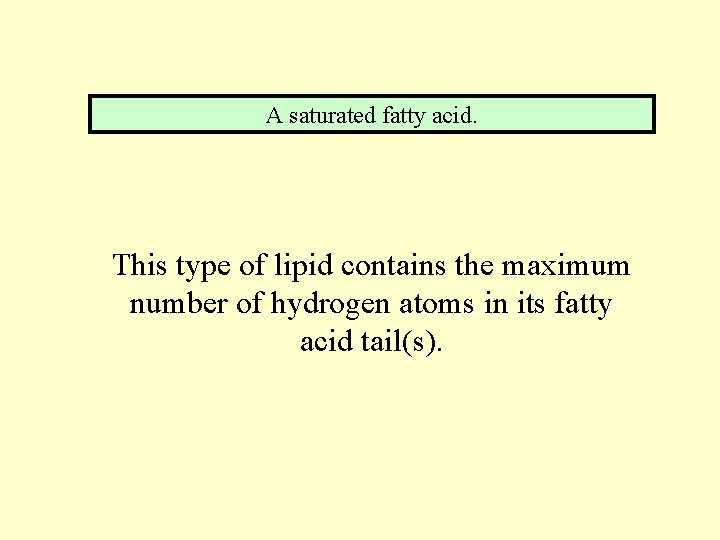 A saturated fatty acid. This type of lipid contains the maximum number of hydrogen