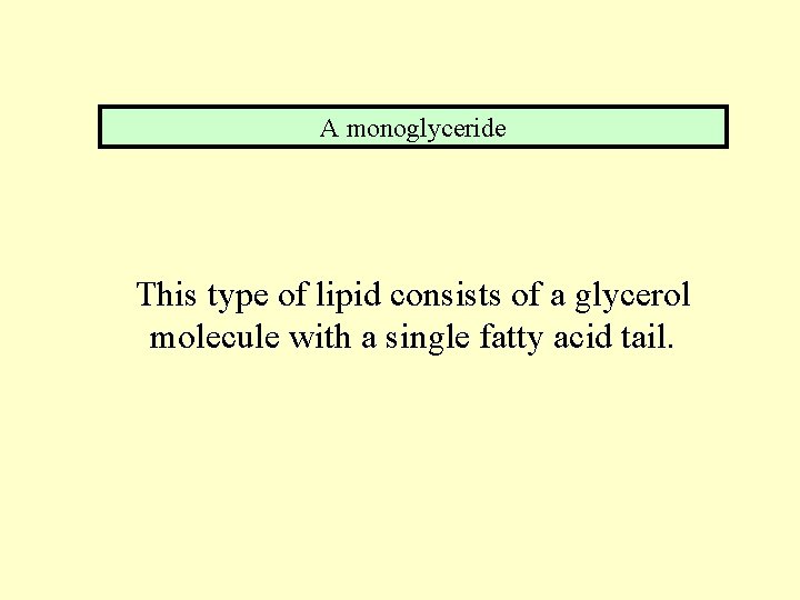 A monoglyceride This type of lipid consists of a glycerol molecule with a single