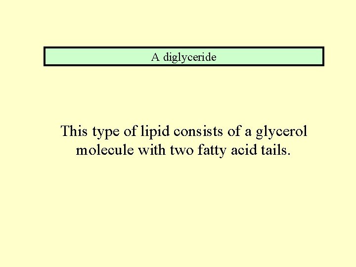 A diglyceride This type of lipid consists of a glycerol molecule with two fatty