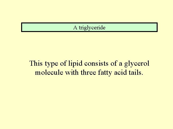 A triglyceride This type of lipid consists of a glycerol molecule with three fatty