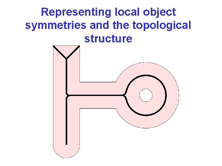 Representing local object symmetries and the topological structure 