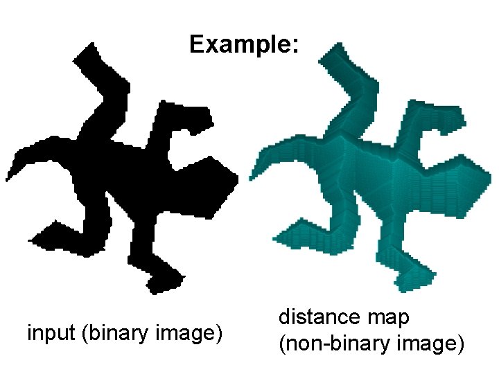 Example: input (binary image) distance map (non-binary image) 