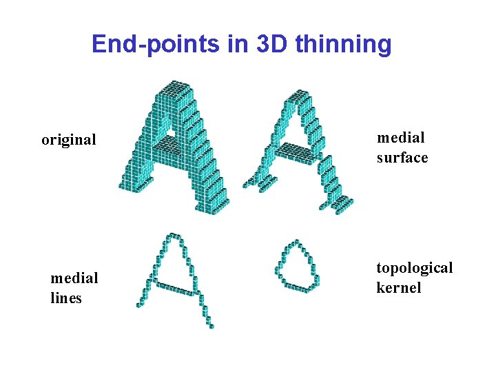 End-points in 3 D thinning original medial lines medial surface topological kernel 