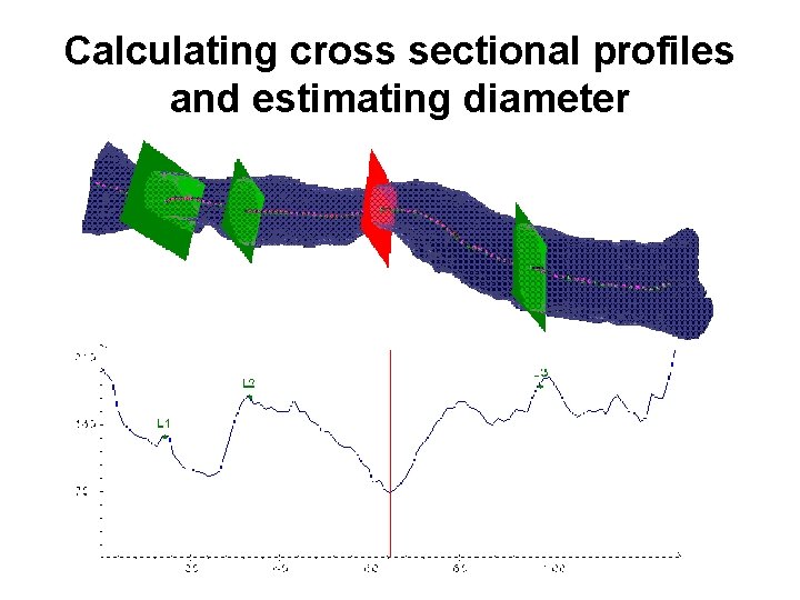 Calculating cross sectional profiles and estimating diameter 