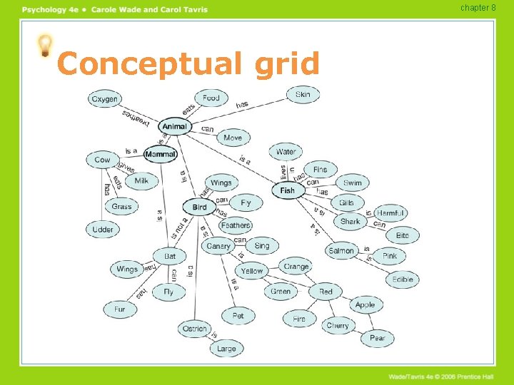 chapter 8 Conceptual grid 