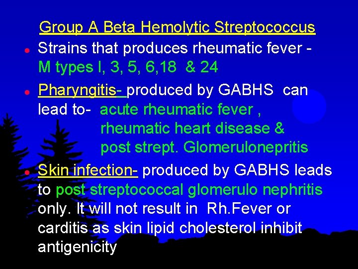 l l l Group A Beta Hemolytic Streptococcus Strains that produces rheumatic fever M