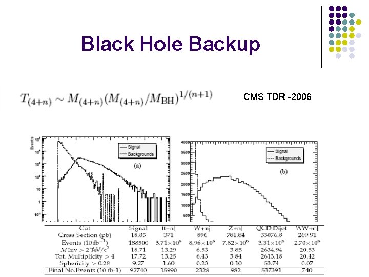 Black Hole Backup CMS TDR -2006 