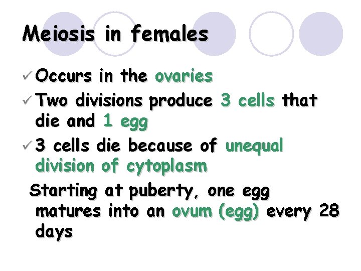 Meiosis in females ü Occurs in the ovaries ü Two divisions produce 3 cells Meiosis in females ü Occurs in the ovaries ü Two divisions produce 3 cells