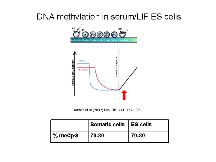 DNA methylation in serum/LIF ES cells Santos et al (2002) Dev Biol 241, 172