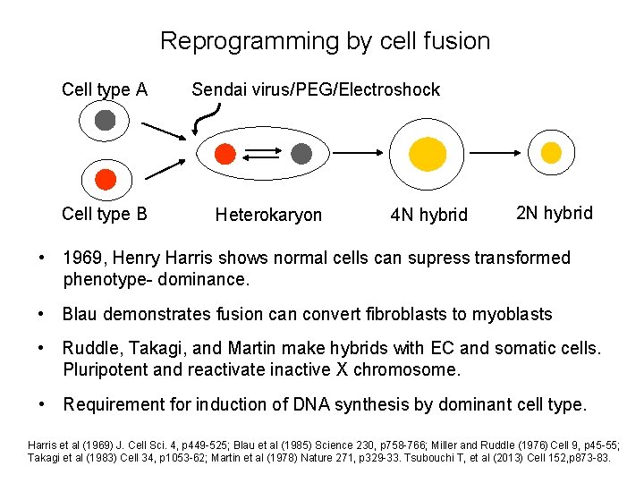 Reprogramming by cell fusion Cell type A Cell type B Sendai virus/PEG/Electroshock Heterokaryon 4