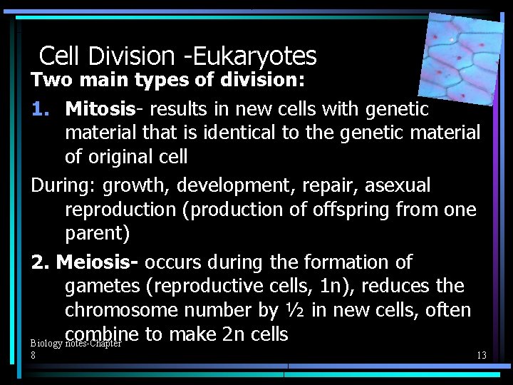 Cell Division -Eukaryotes Two main types of division: 1. Mitosis- results in new cells