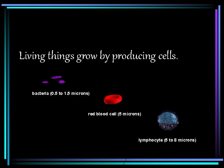 Living things grow by producing cells. bacteria (0. 5 to 1. 5 microns) red
