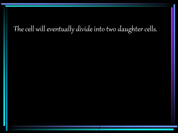 The cell will eventually divide into two daughter cells. 