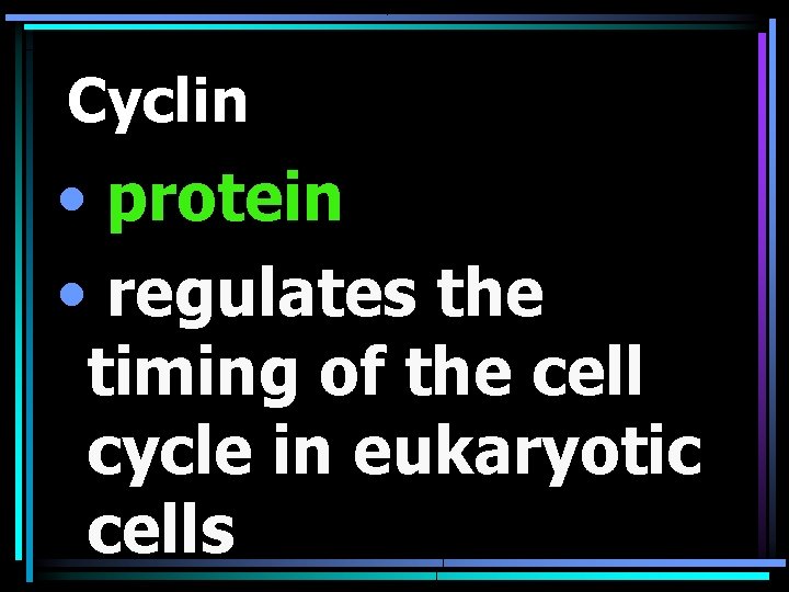 Cyclin • protein • regulates the timing of the cell cycle in eukaryotic cells