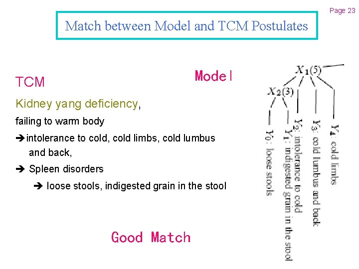 Page 23 Match between Model and TCM Postulates Model TCM Kidney yang deficiency, failing