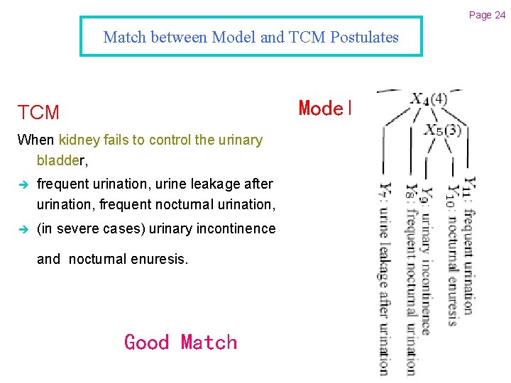 Page 24 Match between Model and TCM Postulates Model TCM When kidney fails to