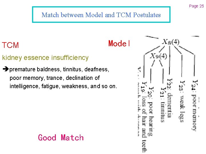 Page 25 Match between Model and TCM Postulates Model TCM kidney essence insufficiency premature
