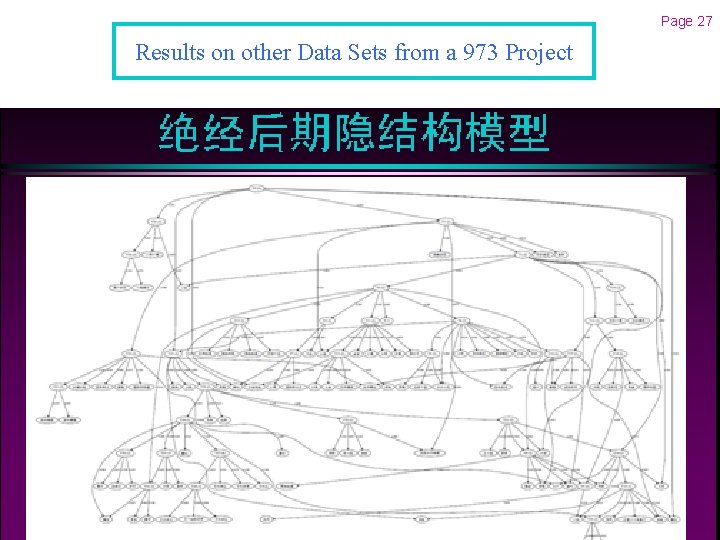 Page 27 Results on other Data Sets from a 973 Project 