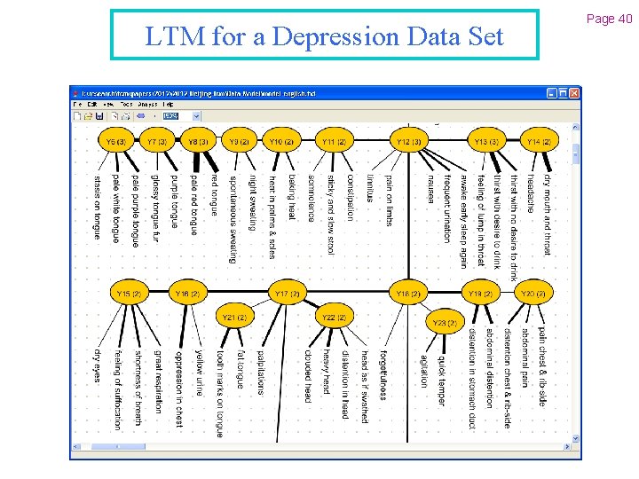 LTM for a Depression Data Set Page 40 