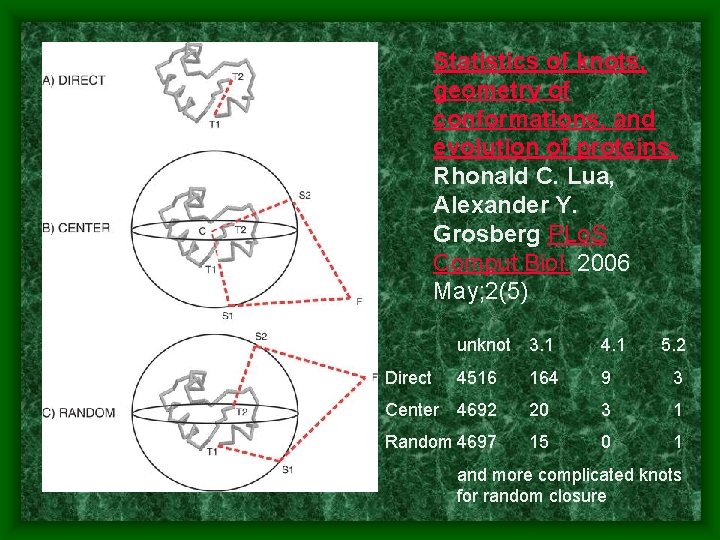 Statistics of knots, geometry of conformations, and evolution of proteins. Rhonald C. Lua, Alexander