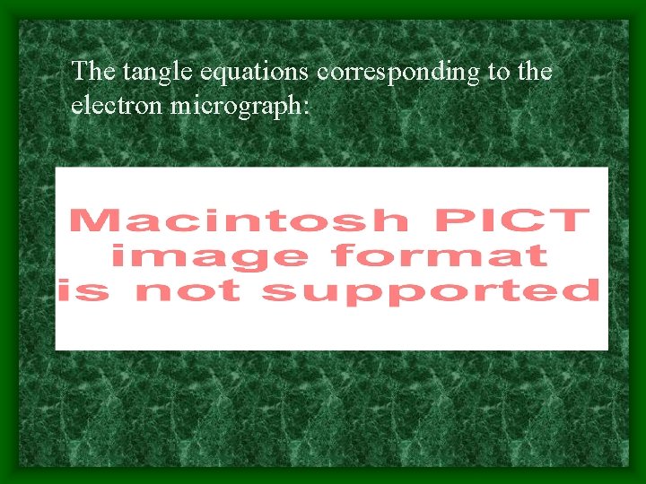 The tangle equations corresponding to the electron micrograph: 