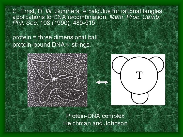 C. Ernst, D. W. Sumners, A calculus for rational tangles: applications to DNA recombination,