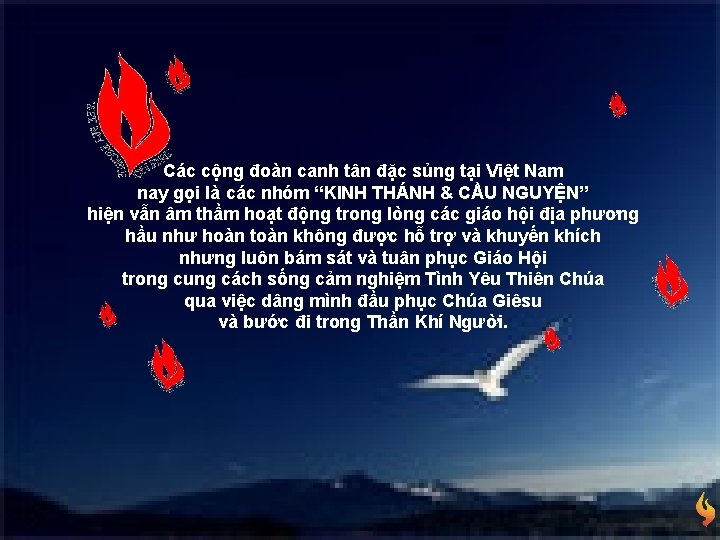 Các cộng đoàn canh tân đặc sủng tại Việt Nam nay gọi là các