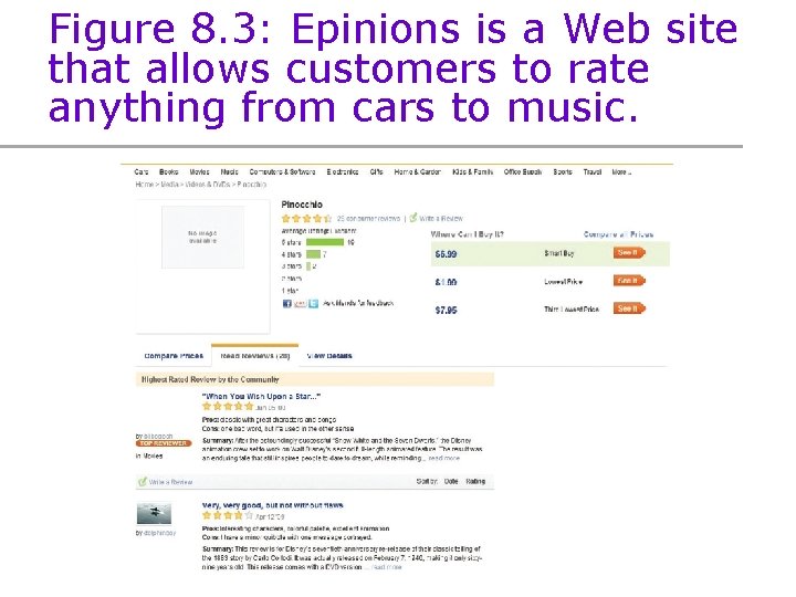 Figure 8. 3: Epinions is a Web site that allows customers to rate anything