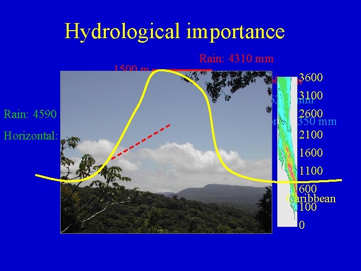 Hydrological importance Rain: 4310 mm 1500 m Rain: 4590 mm Horizontal: 240 mm 1320