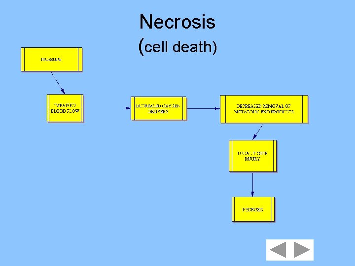 Necrosis (cell death) 