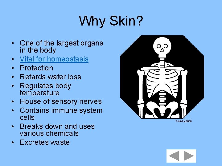 Why Skin? • One of the largest organs in the body • Vital for