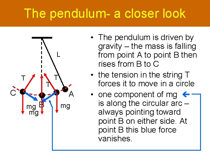 The pendulum- a closer look L T T C T A mg B mg