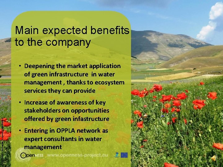 Main expected benefits to the company • Deepening the market application of green infrastructure