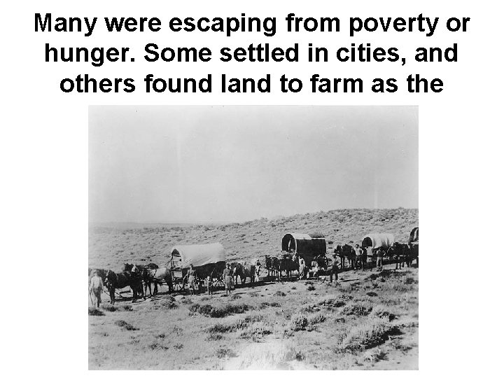 Many were escaping from poverty or hunger. Some settled in cities, and others found