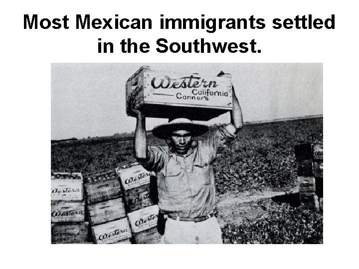 Most Mexican immigrants settled in the Southwest. 
