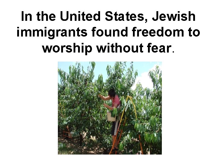 In the United States, Jewish immigrants found freedom to worship without fear. 