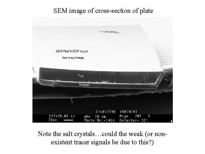 SEM image of cross-section of plate Note the salt crystals…could the weak (or nonexistent