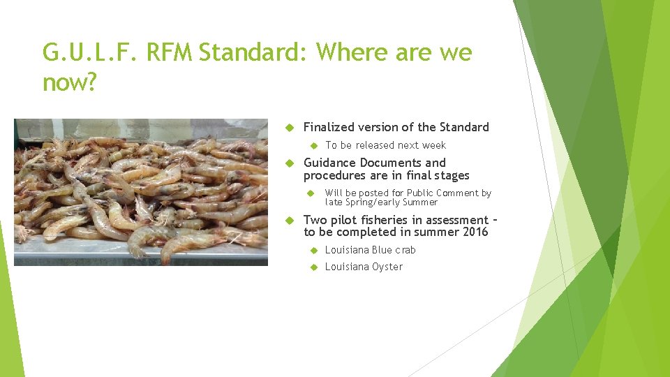 G. U. L. F. RFM Standard: Where are we now? Finalized version of the