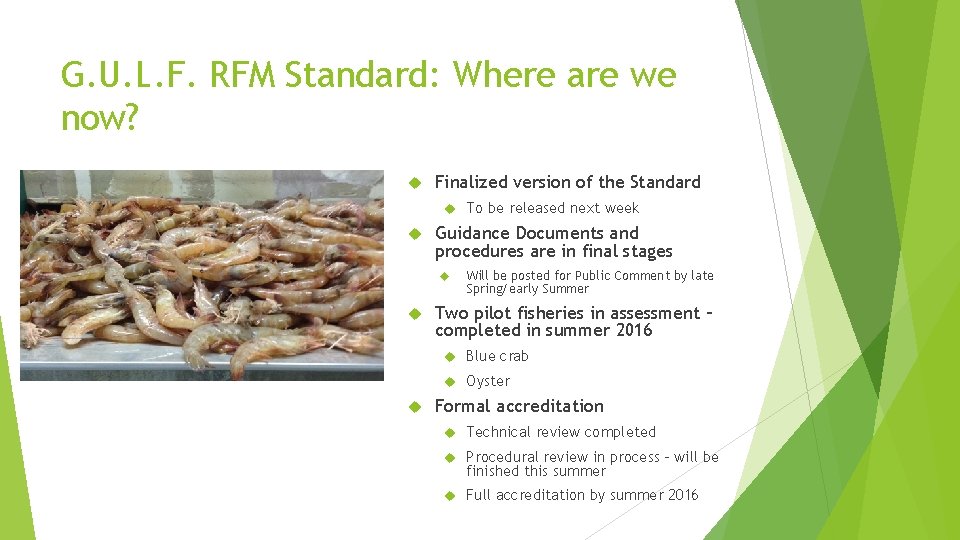 G. U. L. F. RFM Standard: Where are we now? Finalized version of the