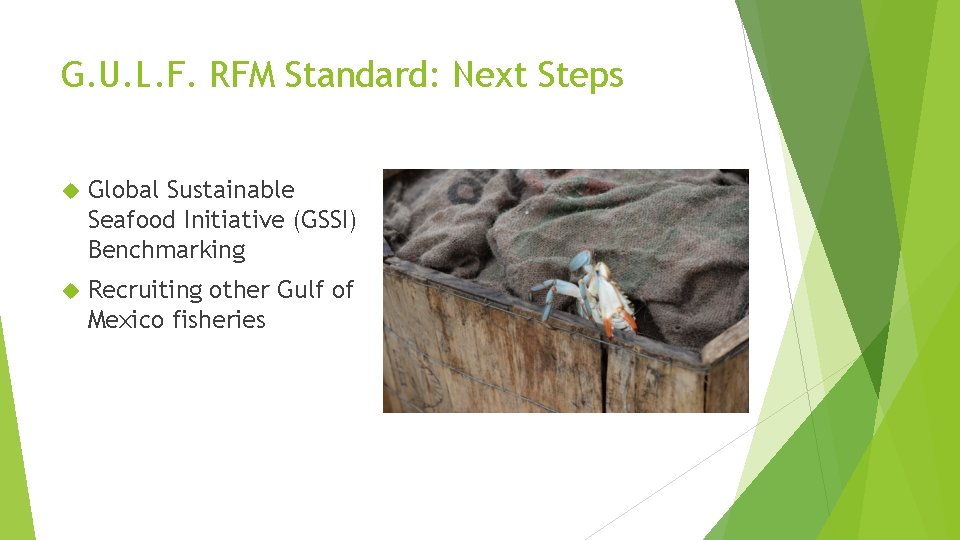 G. U. L. F. RFM Standard: Next Steps Global Sustainable Seafood Initiative (GSSI) Benchmarking