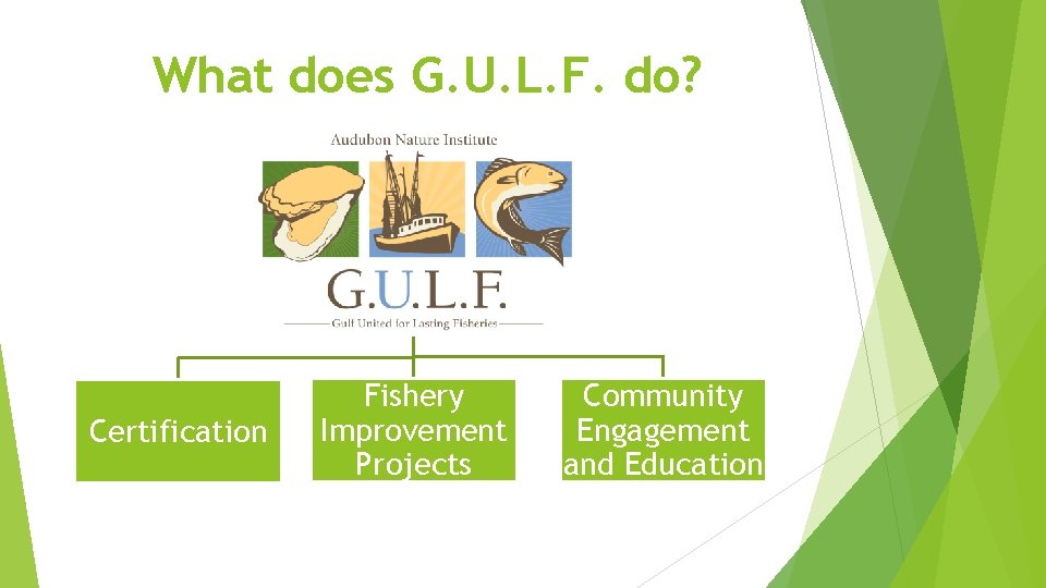 What does G. U. L. F. do? Certification Fishery Improvement Projects Community Engagement and