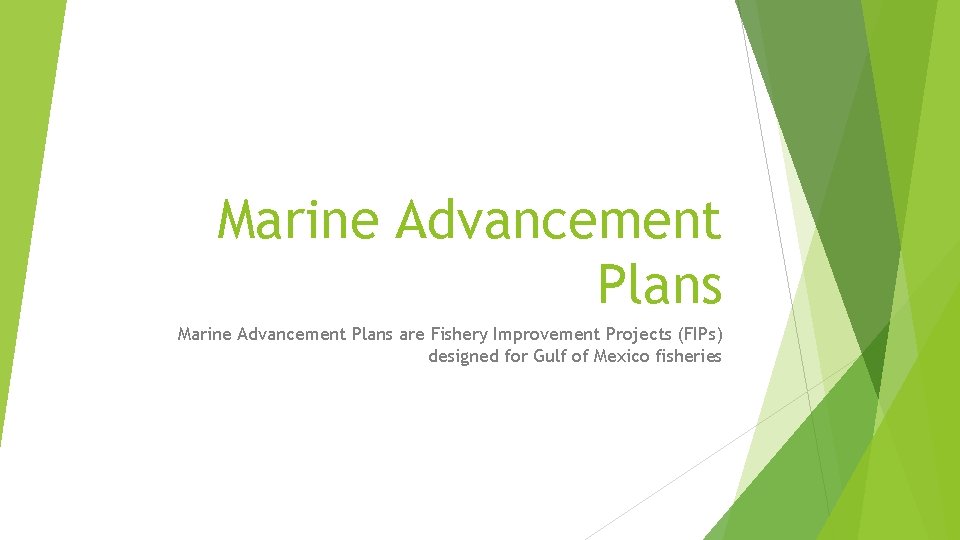 Marine Advancement Plans are Fishery Improvement Projects (FIPs) designed for Gulf of Mexico fisheries