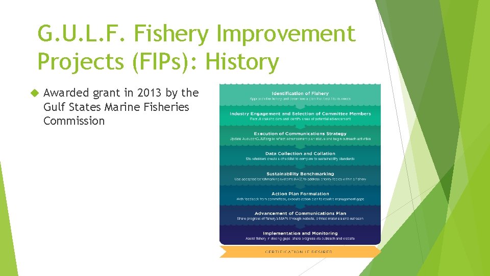 G. U. L. F. Fishery Improvement Projects (FIPs): History Awarded grant in 2013 by