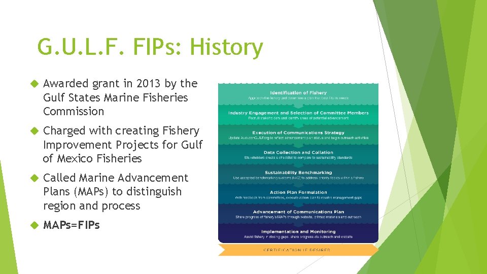 G. U. L. F. FIPs: History Awarded grant in 2013 by the Gulf States